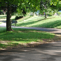 Blakers Park in summer