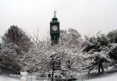 Blakers Park in winter