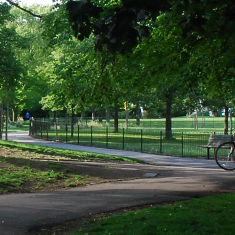 Blakers Park in summer