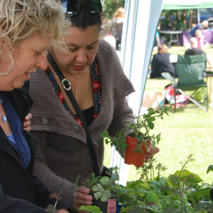 Community picnic 2011