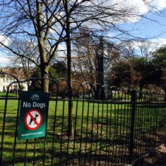 Fenced Play Area