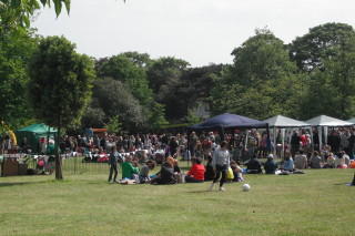 View of the park during the picnic