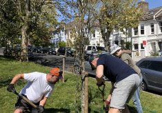 Greening the Park