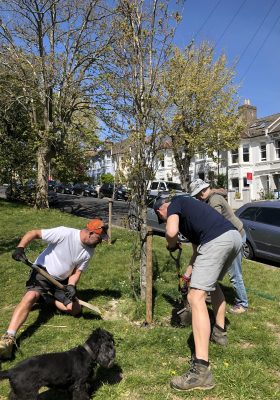 Greening the Park