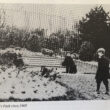 Benches in Blakers Park