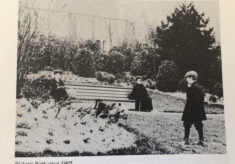 Benches in Blakers Park