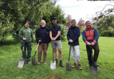 Sponsored tree planting complete.