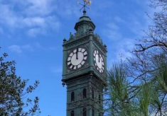 Blakers Park Clock: a history